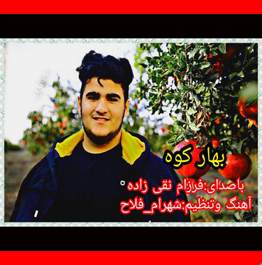 فرزام نقی زاده بهارکوه